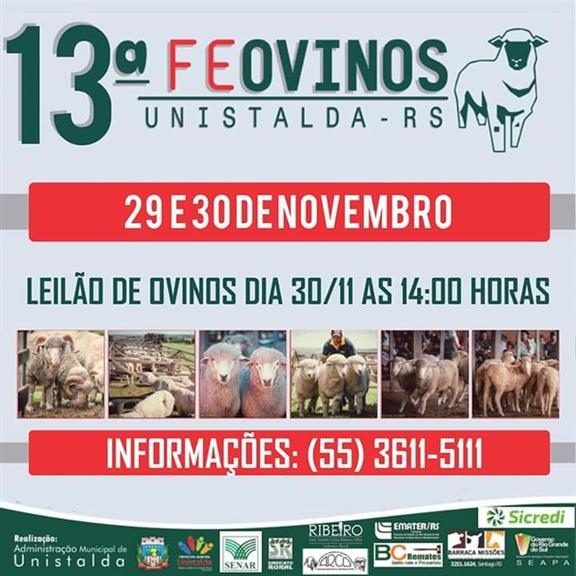 whatsapp_image_2019-11-01_at_11_41_40_225338833