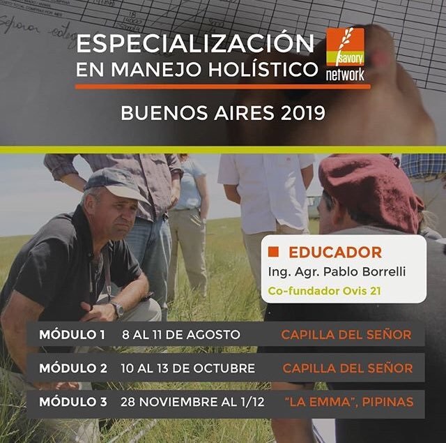 ovinews-MANEJO HOLISTICO