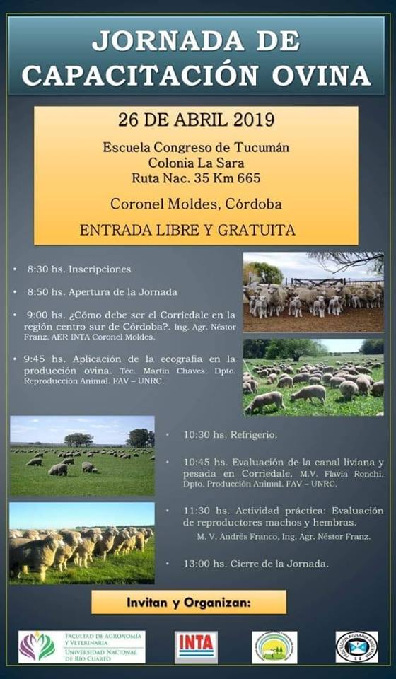 ovinews-jornada ovina