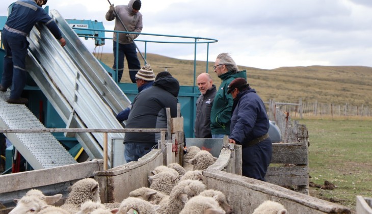 ovinews- baño movil