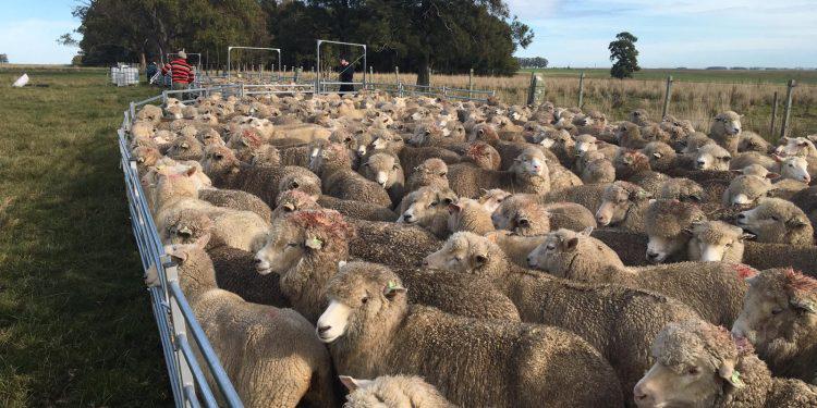 IMG-20210803-WA0006-750x375