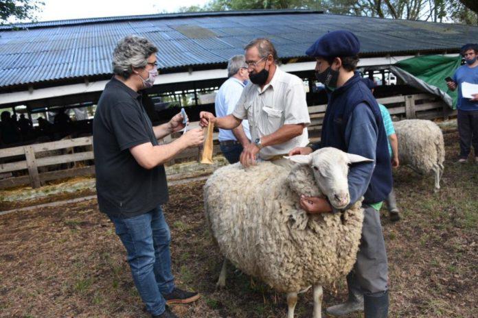 on-javier-rodriguez-en-ayacucho-1024x682-1-696x464