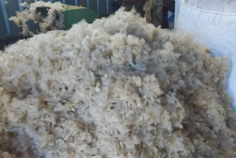 on-descarte-lana-1536x1027