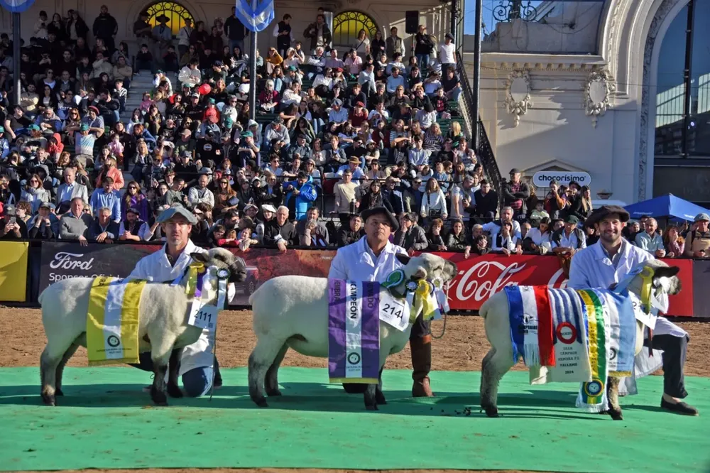 Imagen de WhatsApp 2025-07-10 a las 14.44.05_c39bbb43