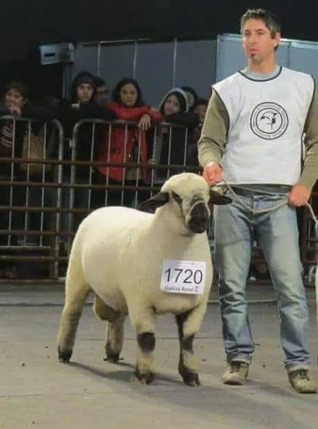 Imagen de WhatsApp 2025-07-10 a las 14.44.05_96bbafb8