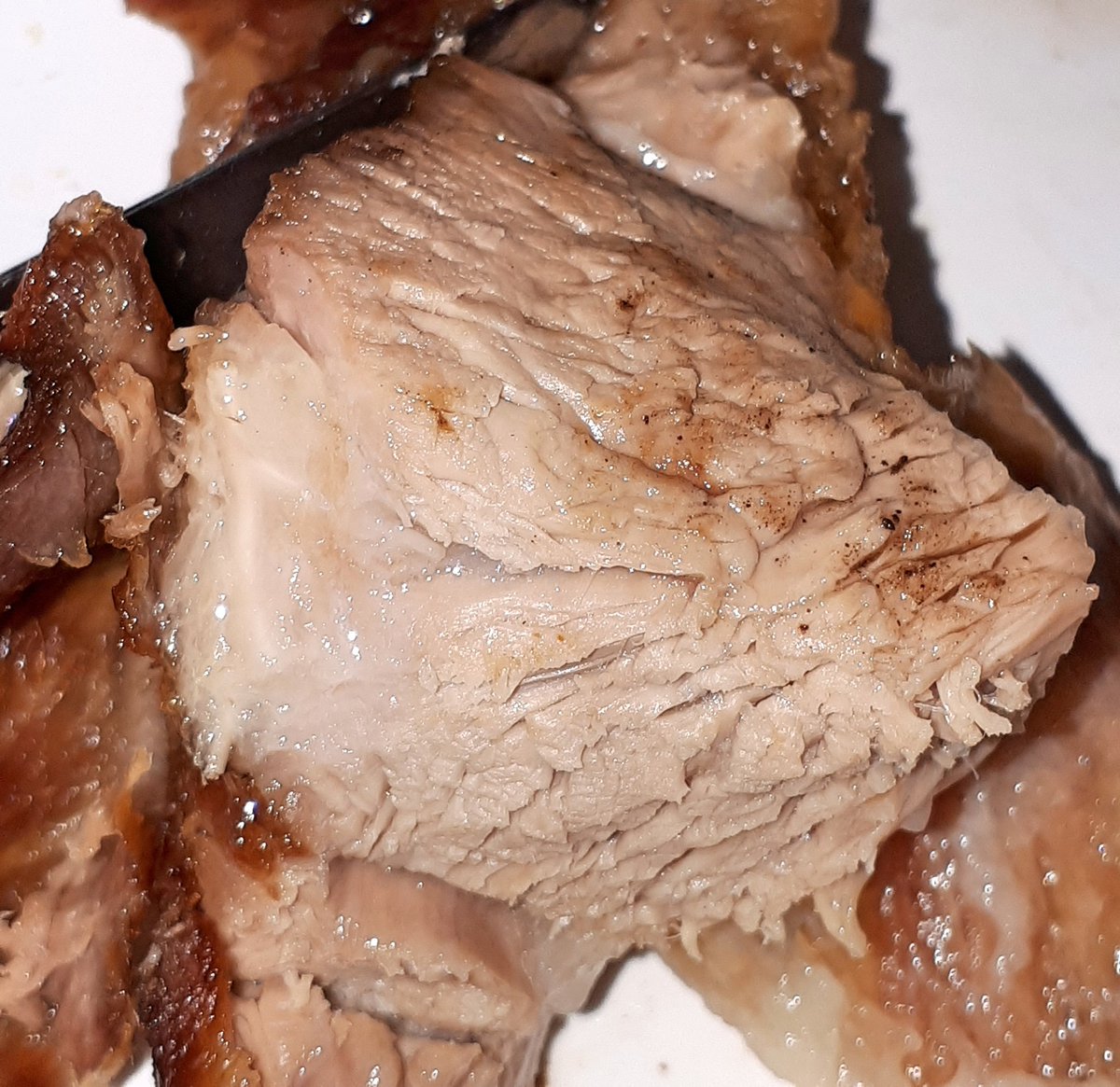 ovinews-carne ovina