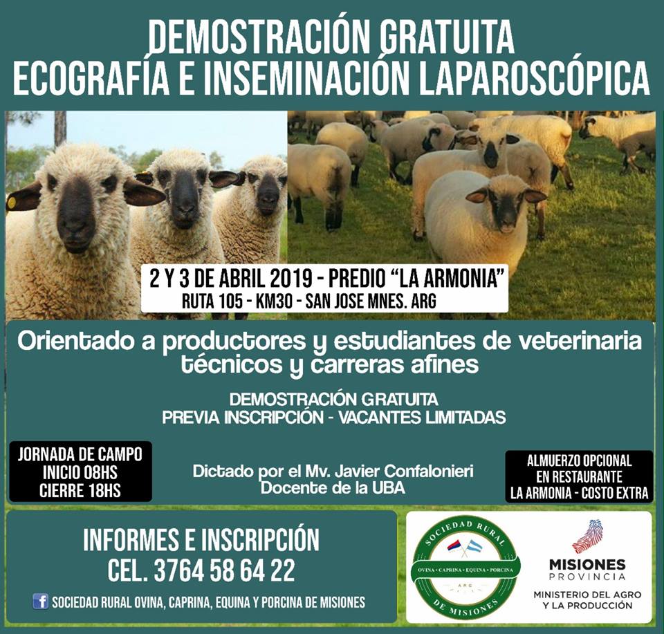 54729364_2104556679623709_126946335482970112_n