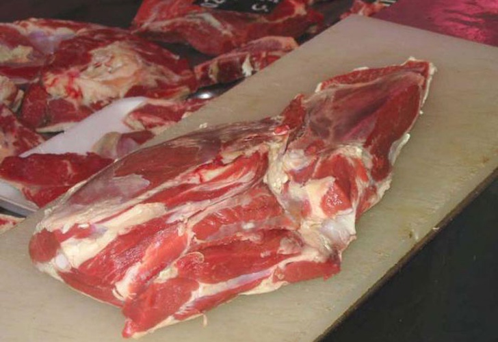 carne de llama