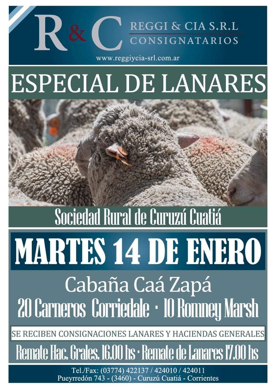 facebook_1578795492474