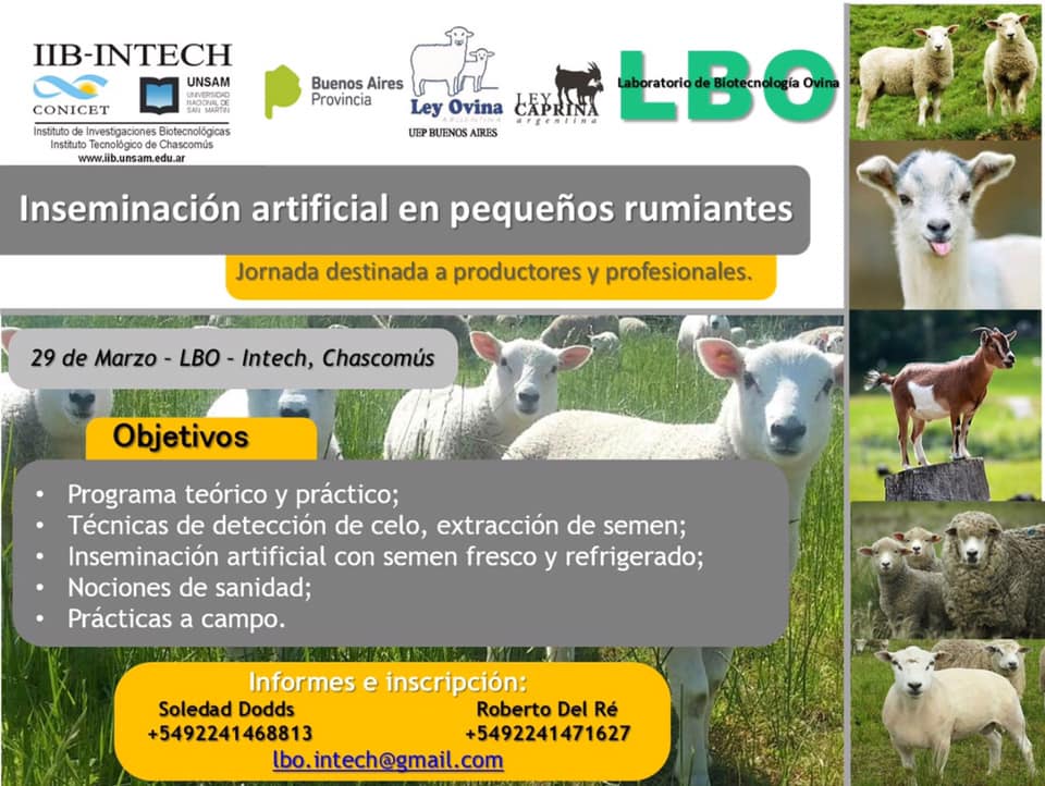 52141306_790443647978664_3496109967423832064_n