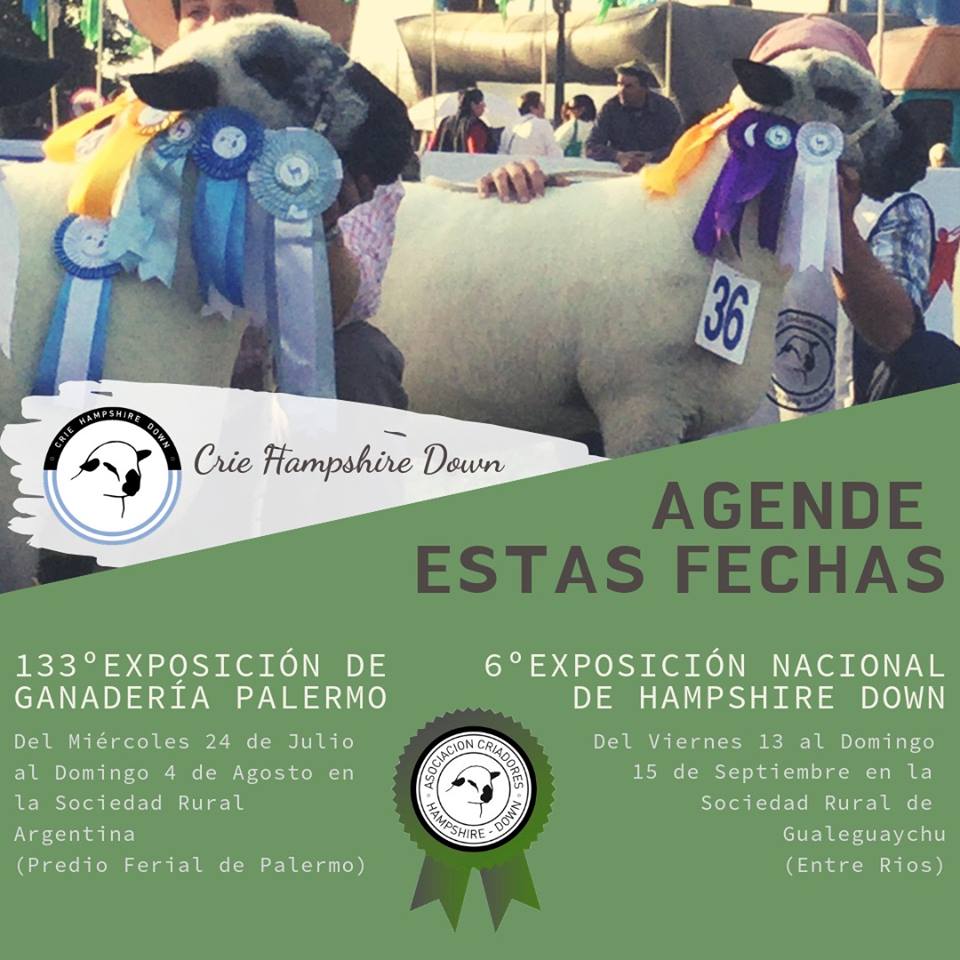 55882432_2273165232958508_8011786587564146688_n