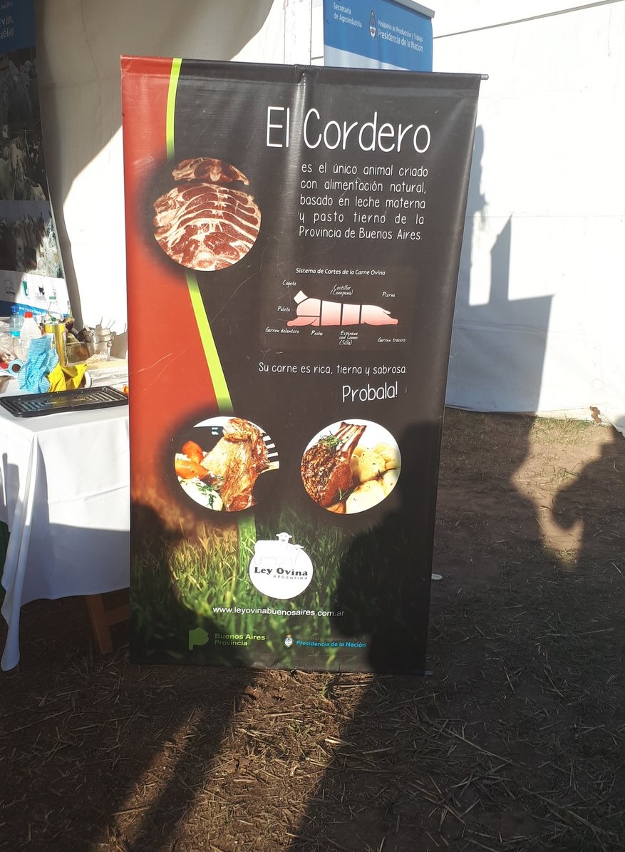 ovinews- bs as en expoagro4