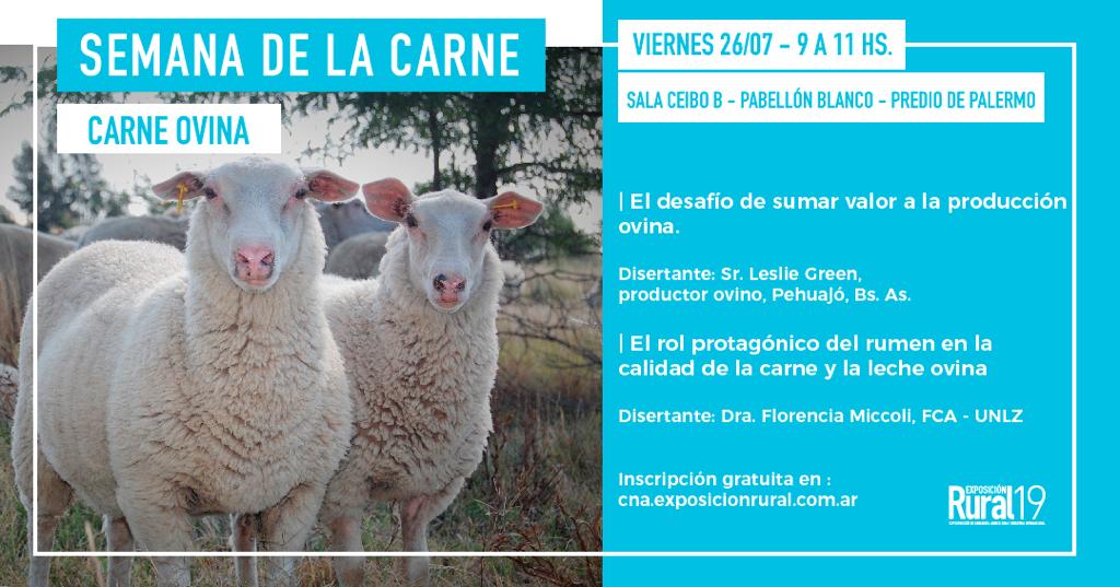 ovinews.semana carne ovina
