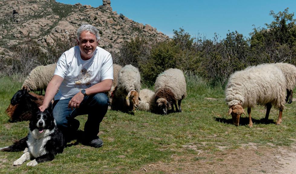 Ovinews-Tomas Rodriguez