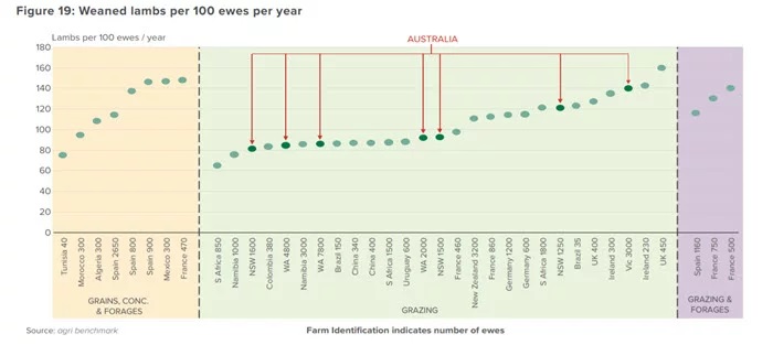 ovinews- comparacion australia 2