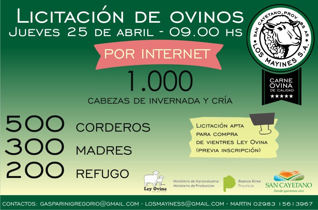 ovinews-licitacion