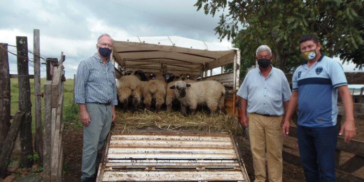 ovinews-cuanca su misiones