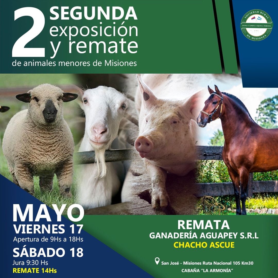 ovinews.-expo menores