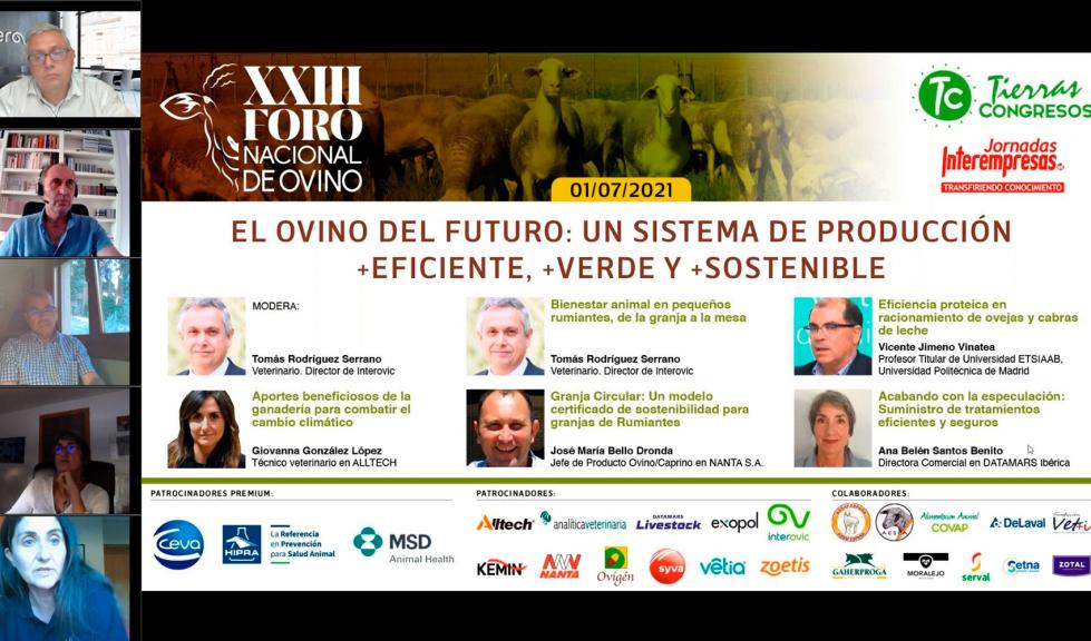 on-foro ovino