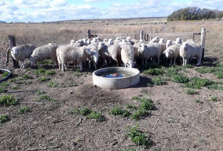 on-abrio el plazo para san luis