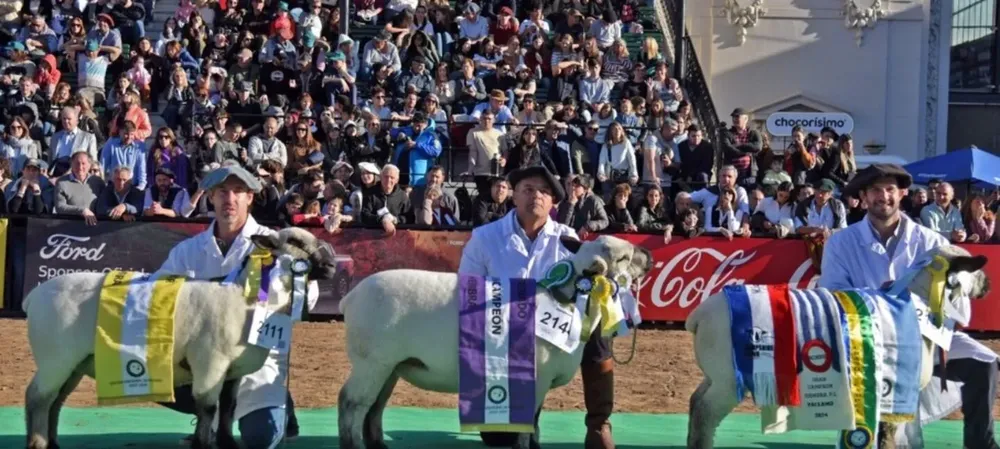 Imagen de WhatsApp 2025-07-10 a las 14.44.04_35cd343f