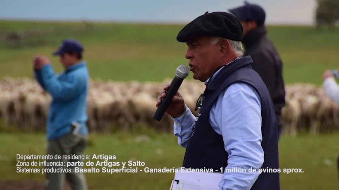 ovinews-tecnico s de brasil