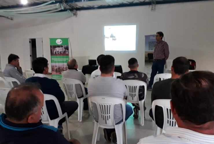 ovinews- min produccion san luis