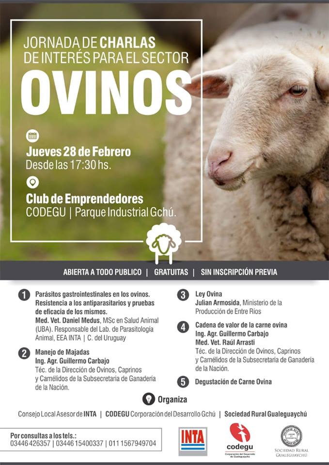 52889842_2254692314805800_4992095519556763648_n