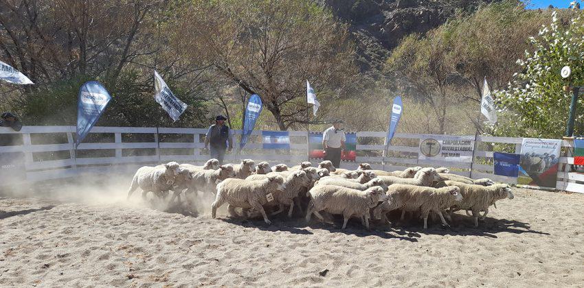 9o-feria-productores-en-alumine-6-1-850x420