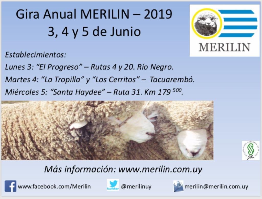 ovinews-gira merilin