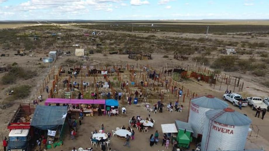Feria-8-2