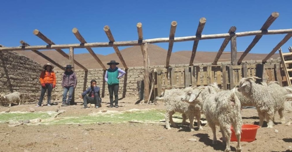 ovinews- jujuy resiste y activa