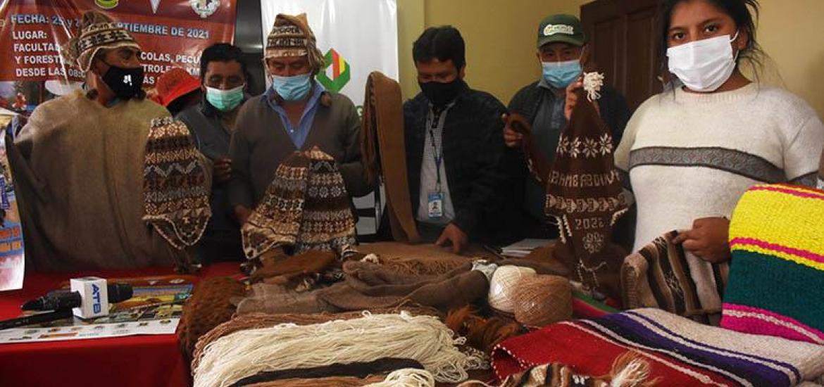 ON-Bolivia camelidos