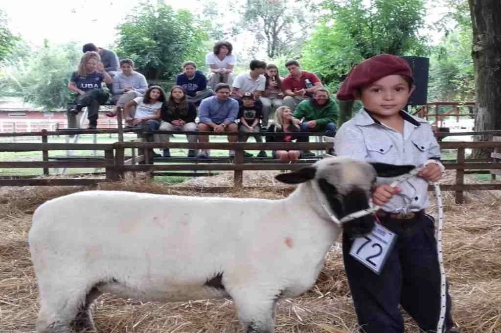 WhatsApp-Image-2025-11-01-at-10.26.59-1