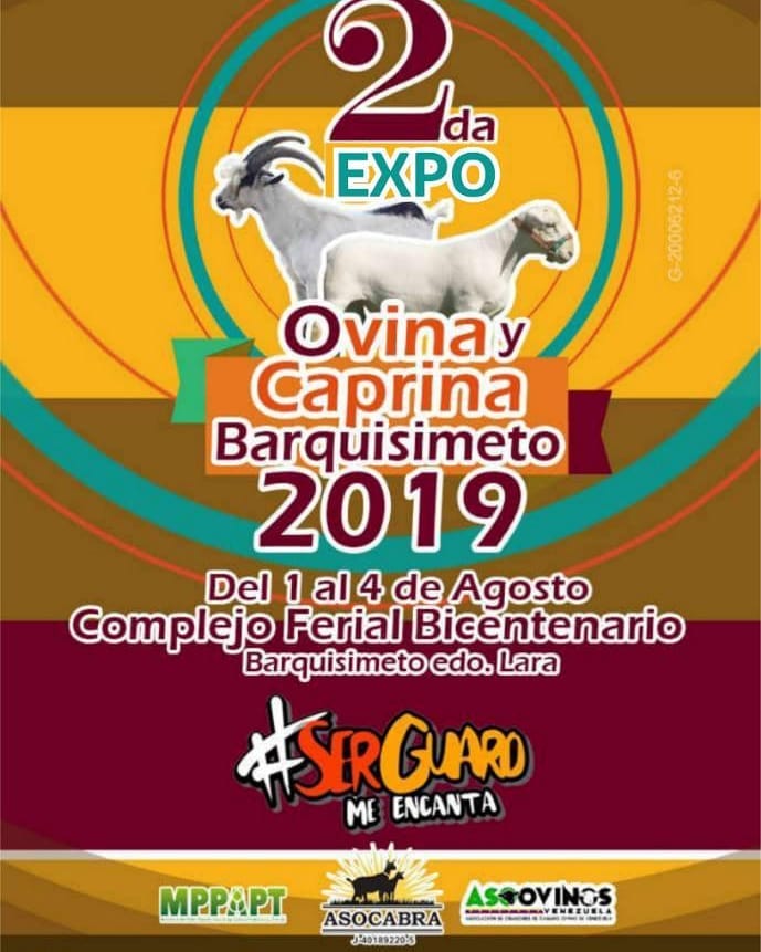 ovinews.-barquisimeto