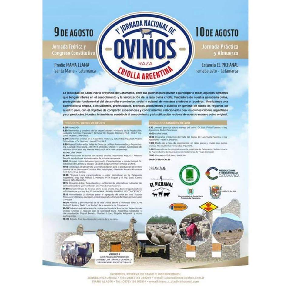 facebook_1563539546504